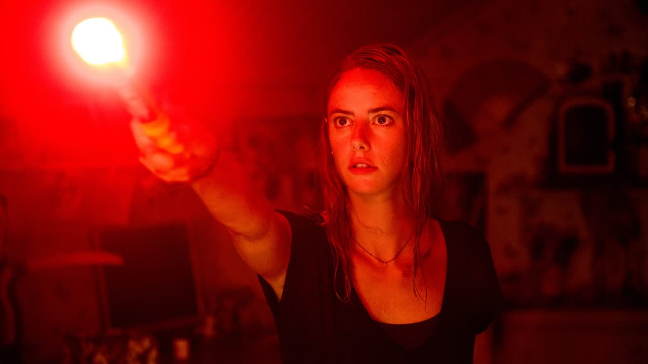 Crawl (2019) Movie News & Updates | Alexandre Aja Thriller still 8