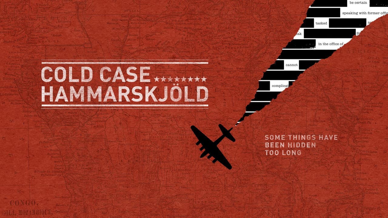 Cold Case Hammarskjöld still 3