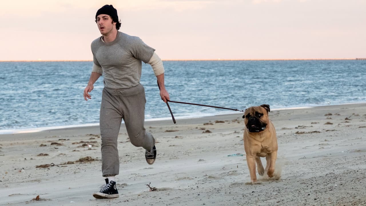 I Play Rocky: Anthony Ippolito on Playing Stallone still 2