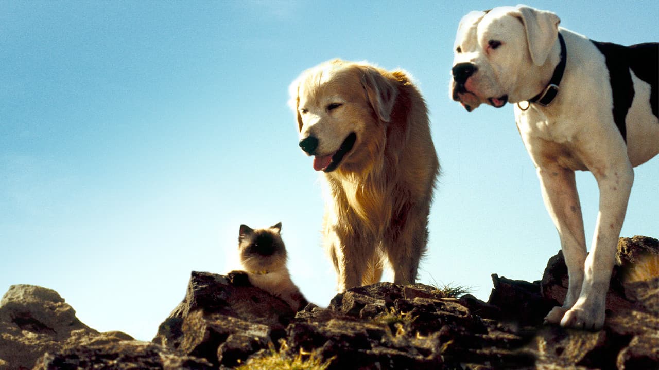 Homeward Bound: The Incredible Journey still 6