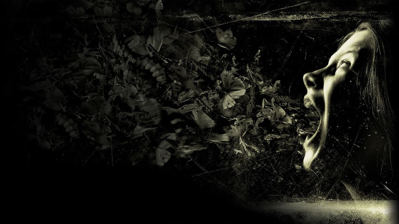 The Possession still 3