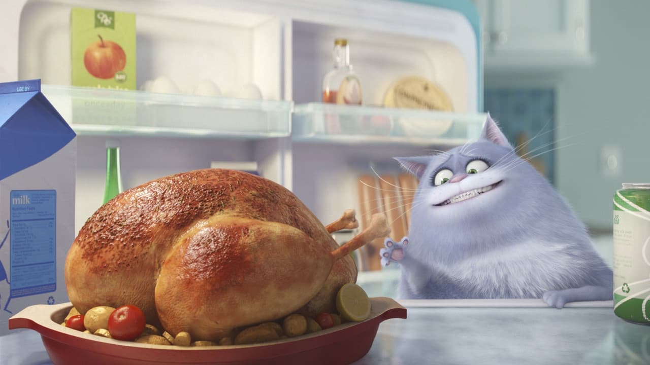 The Secret Life of Pets still 8