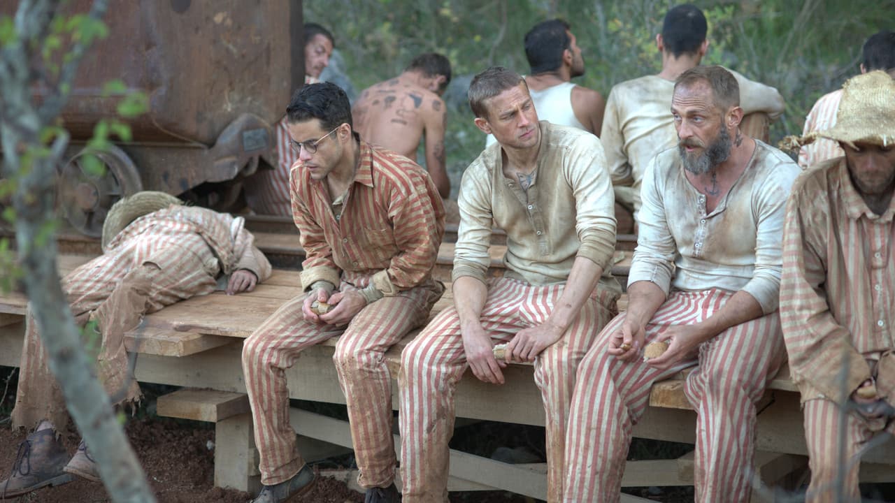 Papillon still 1