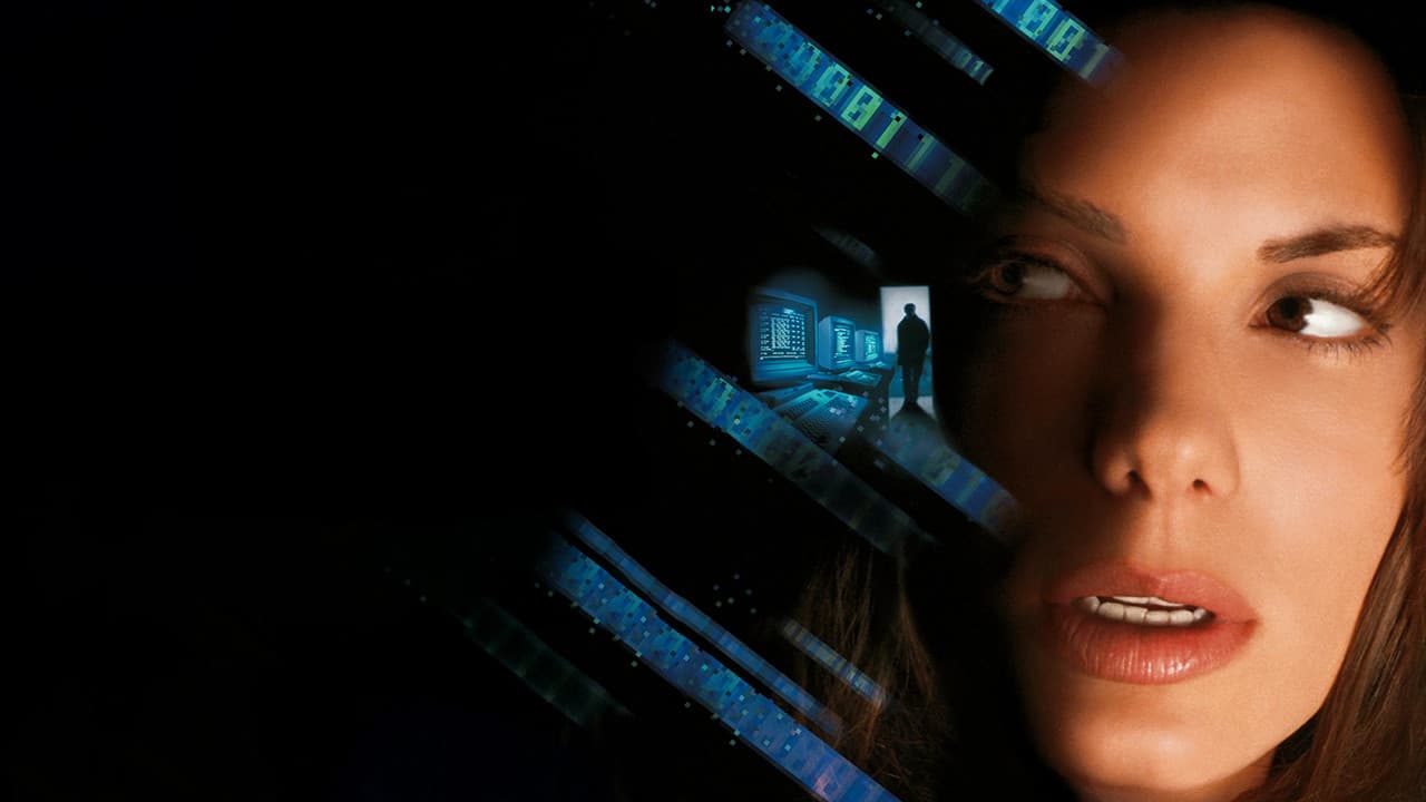 The Net still 2