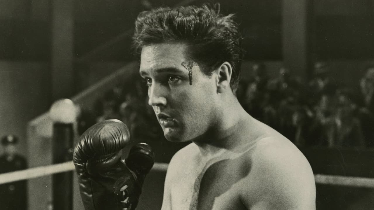 Kid Galahad still 1