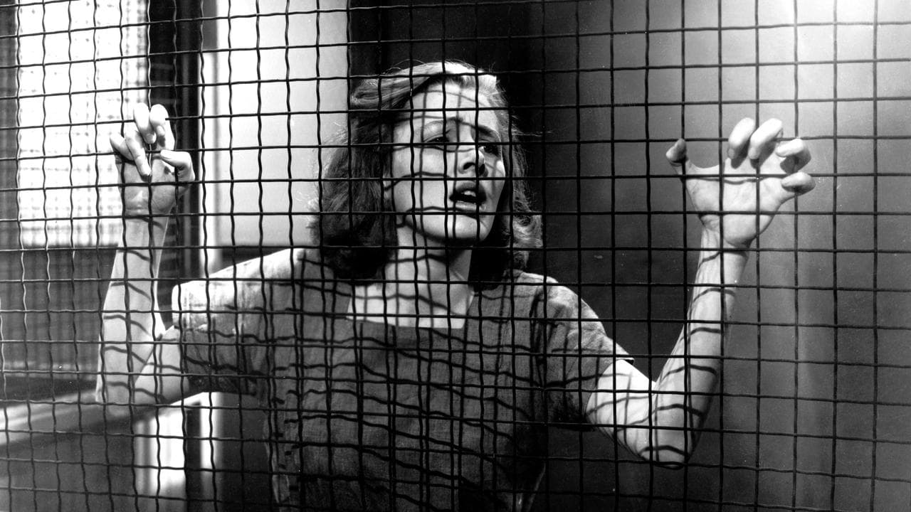 Caged still 1