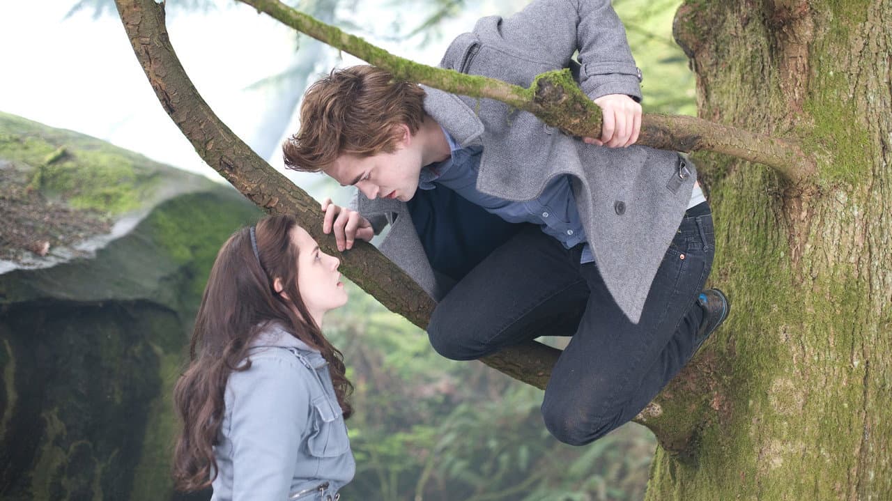 Twilight still 3