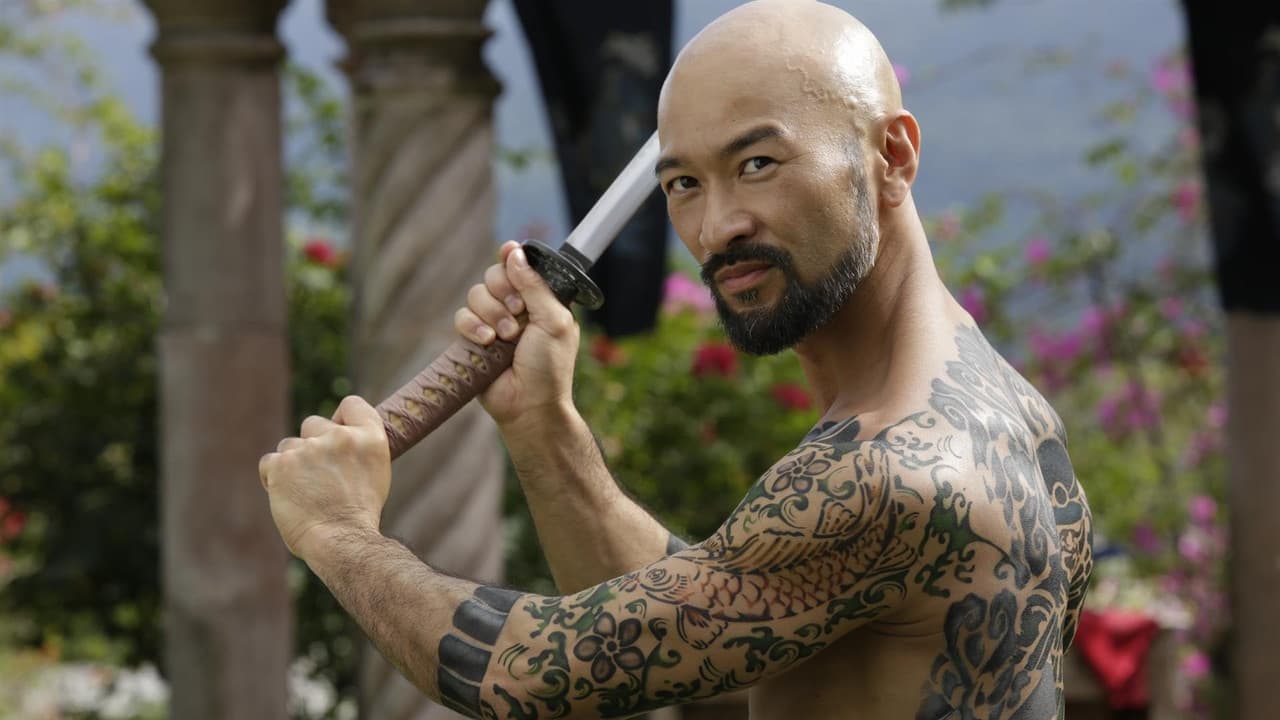 Falcon Rising still 1