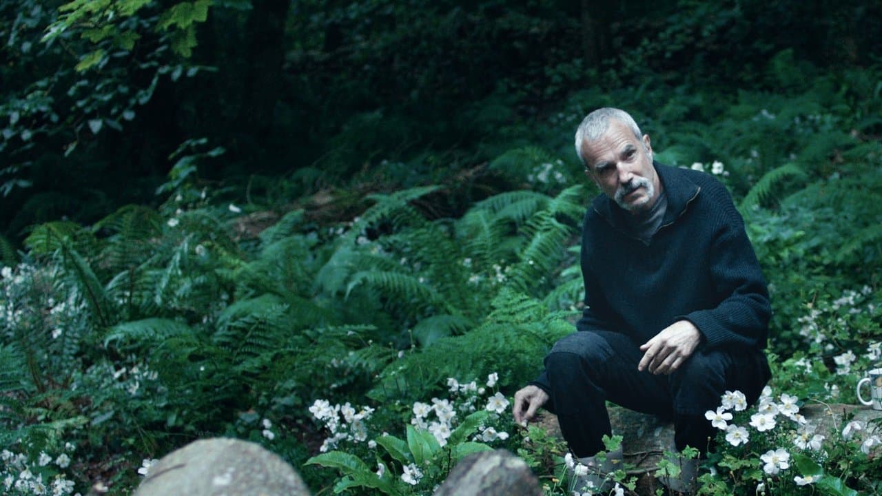 Anemone still 7
