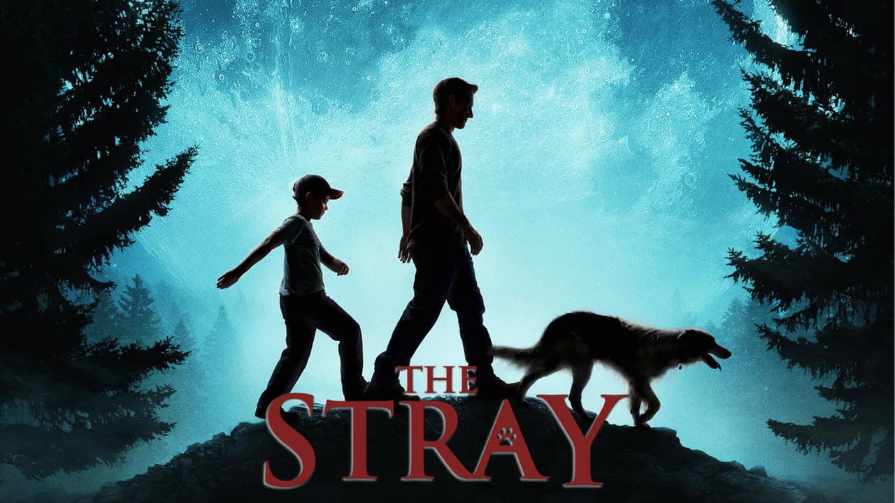 The Stray still 2