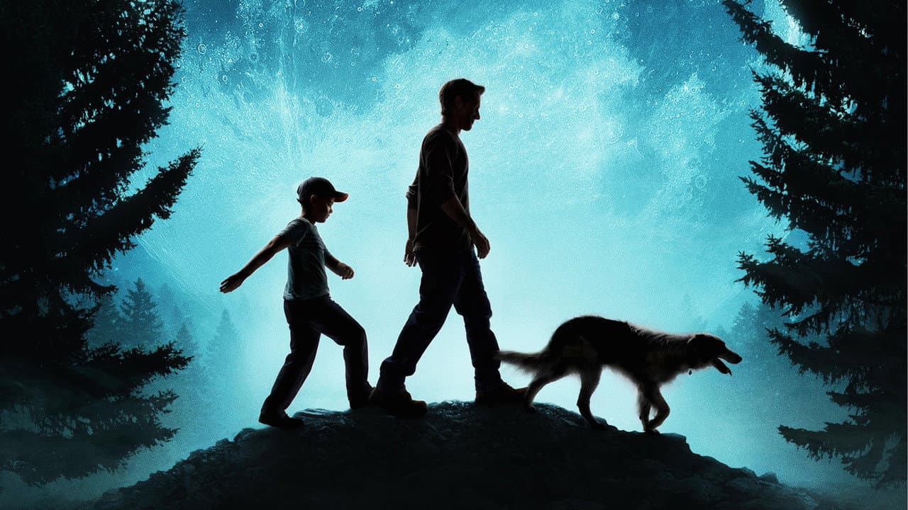 The Stray still 3