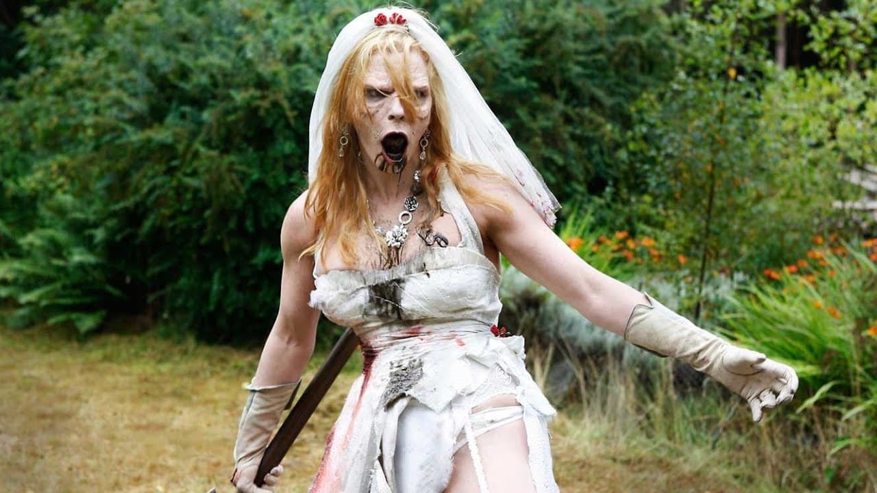 Doghouse still 7