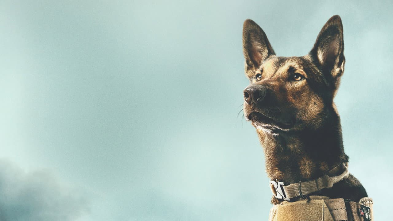 Max still 8