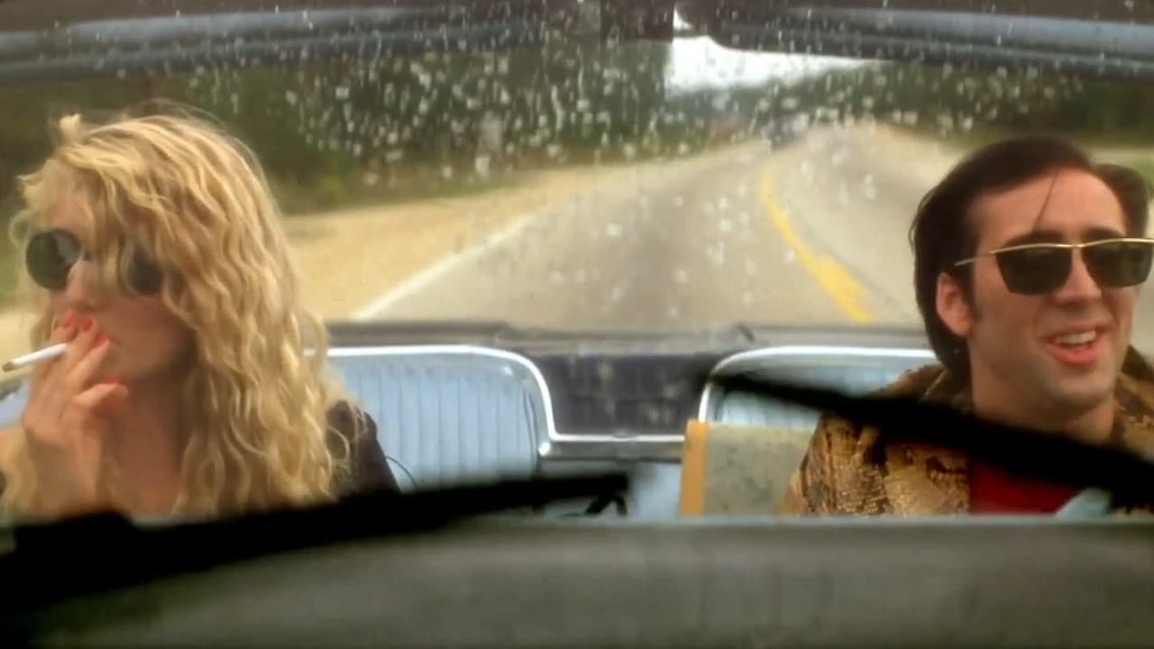 Wild at Heart still 6