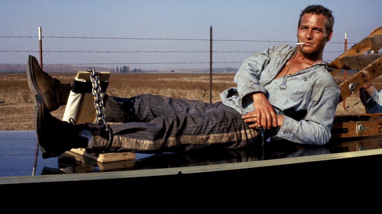 Cool Hand Luke still 8