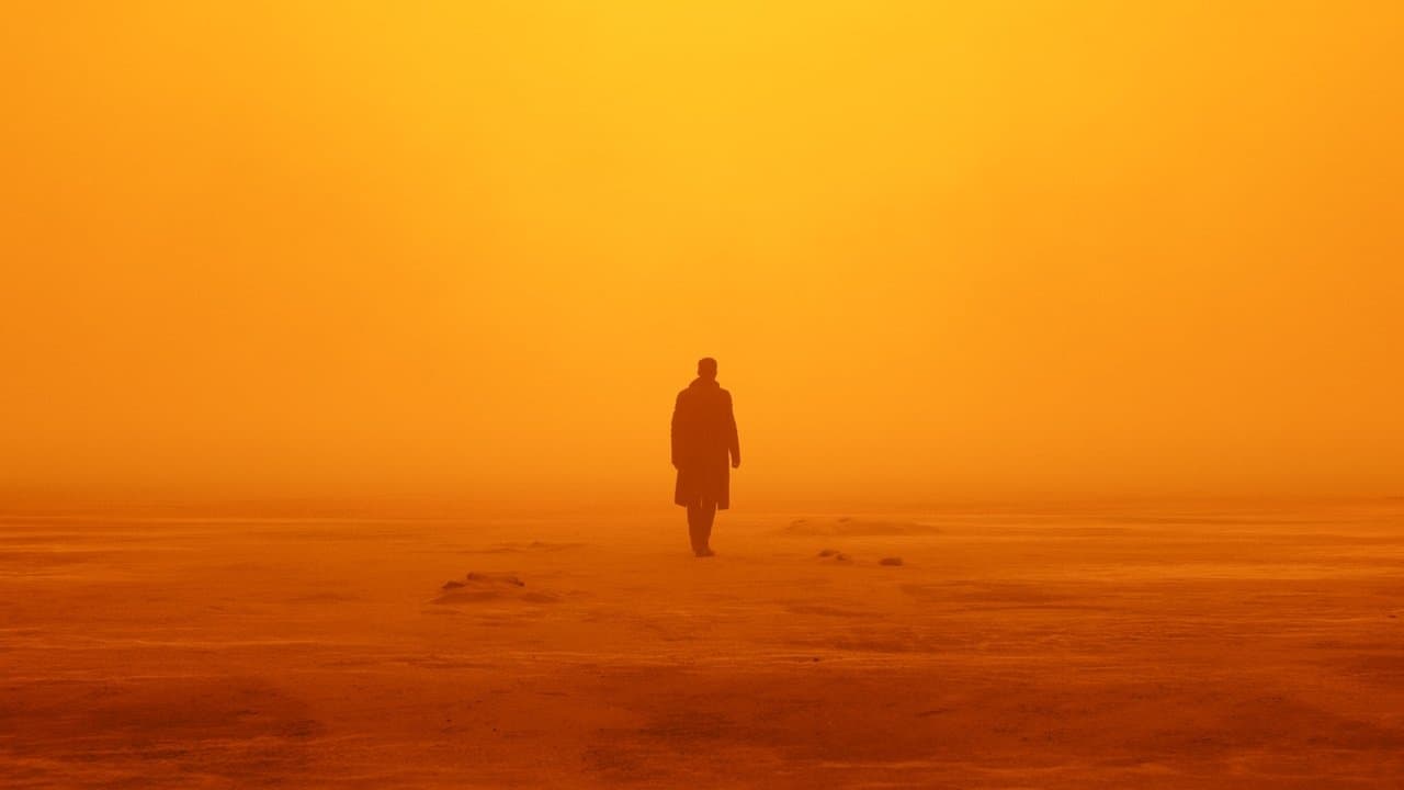 Blade Runner 2049 Props and Costumes Head to Auction still 8
