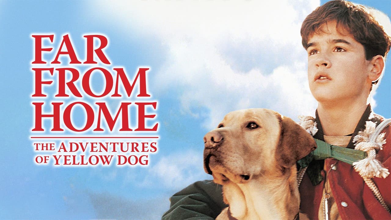 Far from Home: The Adventures of Yellow Dog still 7