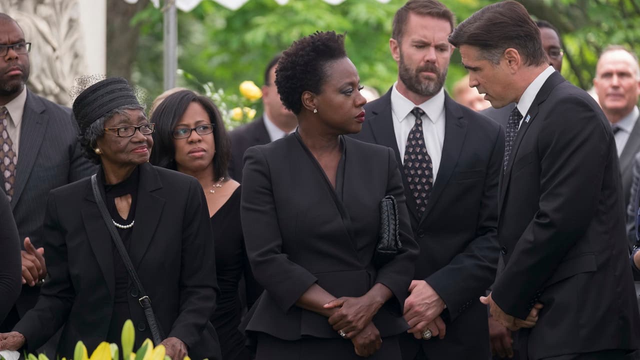 Widows still 1